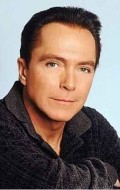 David Cassidy - bio and intersting facts about personal life.