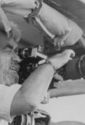 Hugo Van Lawick filmography.