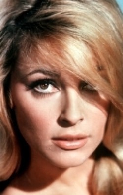 Sharon Tate - bio and intersting facts about personal life.