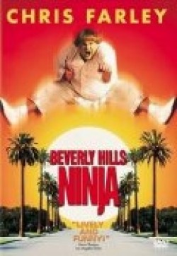 Beverly Hills Ninja - wallpapers.