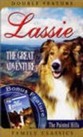 Lassie's Great Adventure - wallpapers.