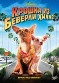 Beverly Hills Chihuahua - wallpapers.