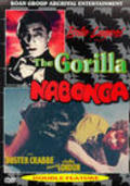 The Gorilla pictures.