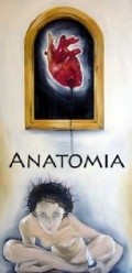 Anatomia - wallpapers.