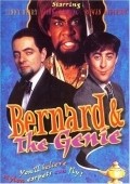 Bernard and the Genie pictures.