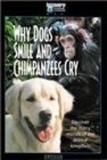 Why Dogs Smile & Chimpanzees Cry pictures.