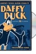 Daffy Dilly - wallpapers.