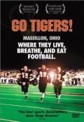 Go Tigers! pictures.