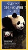 Secrets of the Wild Panda pictures.