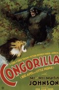 Congorilla pictures.