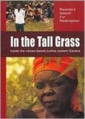 In the Tall Grass pictures.