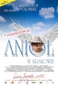 Aniol w Krakowie pictures.