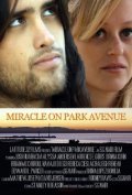 Miracle on Park Avenue - wallpapers.