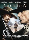 Appaloosa pictures.