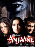 Anjaane: The Unkown - wallpapers.