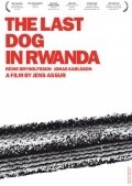Den sista hunden i Rwanda pictures.