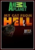 My Cat from Hell - wallpapers.
