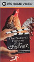 The Natural History of the Chicken pictures.