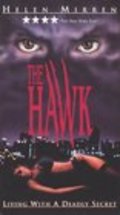 The Hawk - wallpapers.