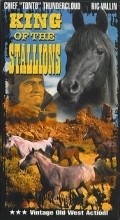 King of the Stallions pictures.