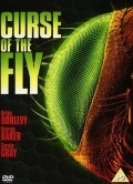 Curse of the Fly - wallpapers.
