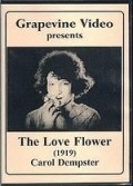 The Love Flower - wallpapers.