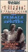 The Female of the Species pictures.