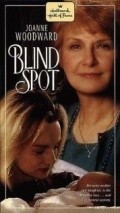 Blind Spot pictures.