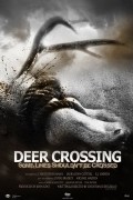 Deer Crossing pictures.