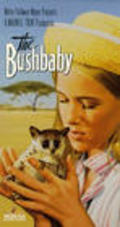 The Bushbaby pictures.