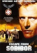 Escape from Sobibor - wallpapers.
