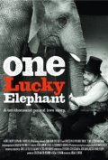 One Lucky Elephant pictures.