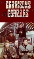 Garrison's Gorillas  (serial 1967-1968) pictures.