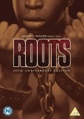 Roots - wallpapers.