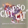 Calypso Cat pictures.