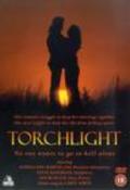 Torchlight - wallpapers.