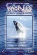 Whales: An Unforgettable Journey - wallpapers.