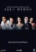 Ask-i memnu pictures.
