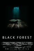 Black Forest - wallpapers.