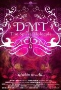 DMT: The Spirit Molecule - wallpapers.