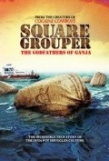 Square Grouper - wallpapers.