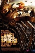 Camel Spiders - wallpapers.
