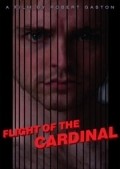 Flight of the Cardinal - wallpapers.