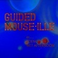 Guided Mouse-Ille - wallpapers.