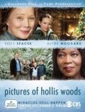 Pictures of Hollis Woods pictures.