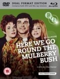 Here We Go Round the Mulberry Bush - wallpapers.