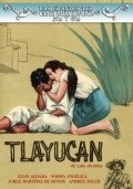 Tlayucan pictures.