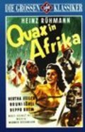 Quax in Afrika - wallpapers.