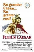 Julius Caesar - wallpapers.