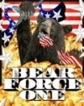 Bear Force One - wallpapers.